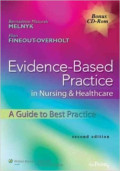 Evidence-Based Practice in Nursing & Healthcare: A Guide to Best Practice 2nd Edition