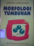 MORFOLOGI TUMBUHAN