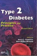 Type 2 Diabetes ; principles and practice, 2nd edition