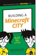 Building Minecraft City
