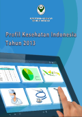 Profil Kesehatan Indonesia tahun 2013