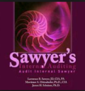 Sawyer's Internal Auditing : Audit Internal Sawyer, Buku 2 Edisi 5