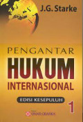Pengantar hukum internasional edisi 10